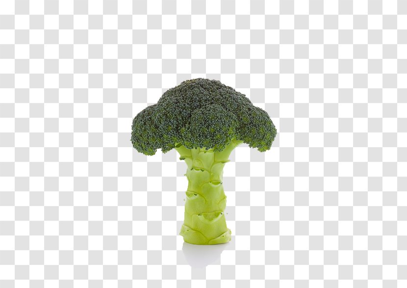 Cauliflower Vegetable Broccoli Transparent PNG