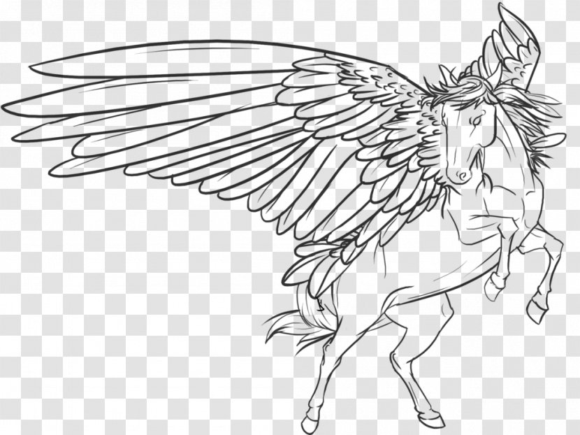 Line Art Horse Drawing Sketch - Head - Pegasus Wing Transparent PNG