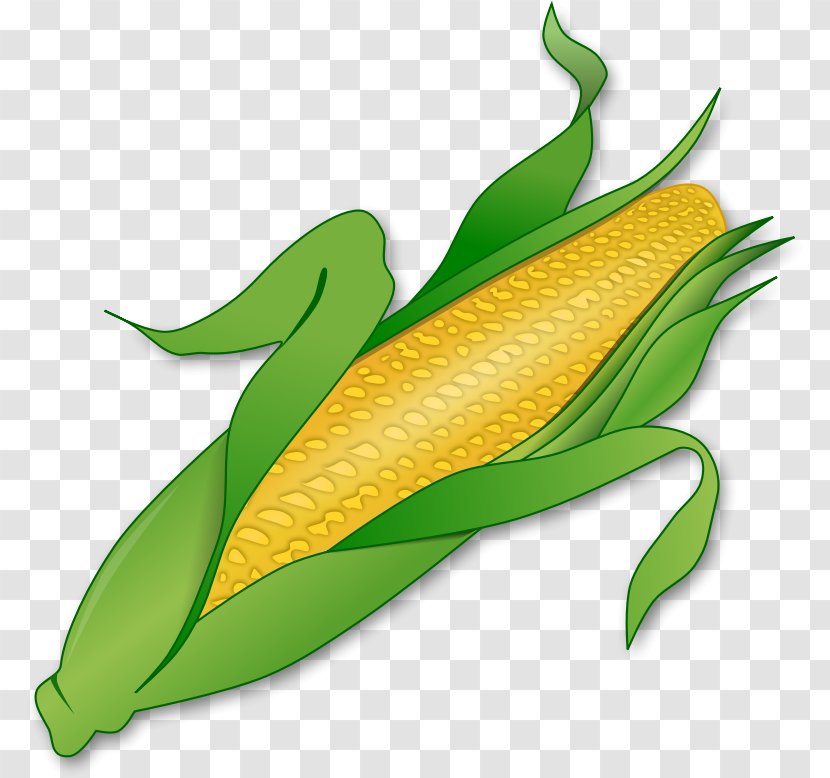 Corn On The Cob Maize Clip Art - Plant Stem Transparent PNG