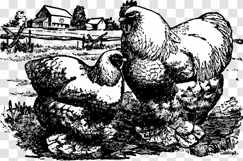 Rooster Chicken Flightless Bird Beak - Food Transparent PNG