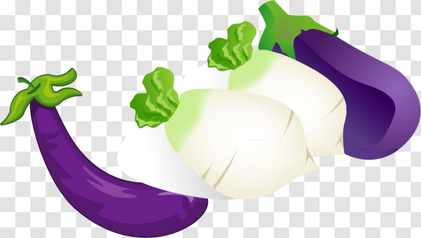 Daikon Vegetable Food Illustration - Organism - Eggplant Radish Vector Material Transparent PNG