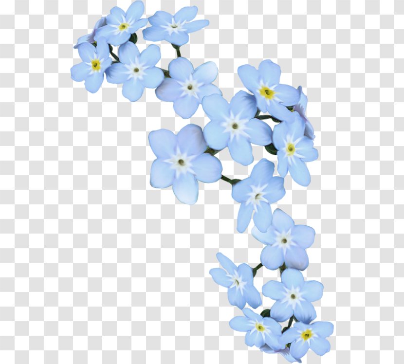 Scorpion Grasses Blue Artificial Flower Blume - Cut Flowers - круги Transparent PNG