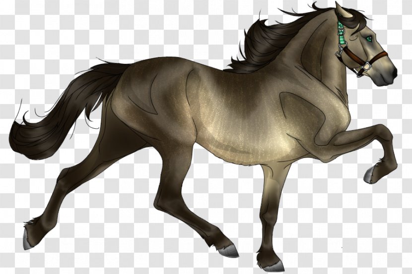 Mustang Foal Stallion Mare Pony Transparent PNG