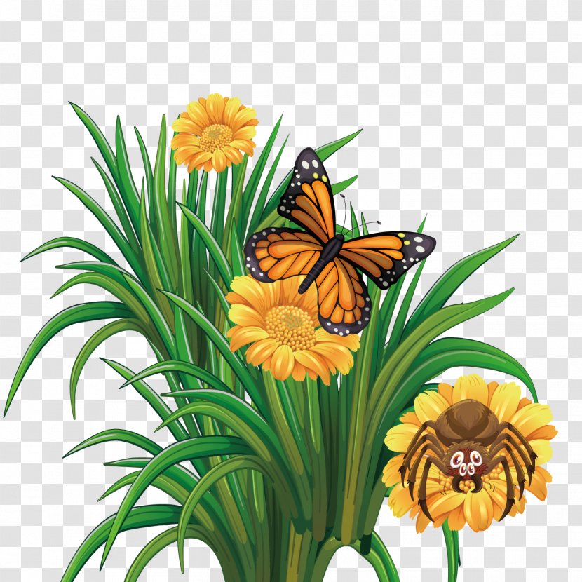 Monarch Butterfly Flower - Insect - Vector Summer Flowers Transparent PNG