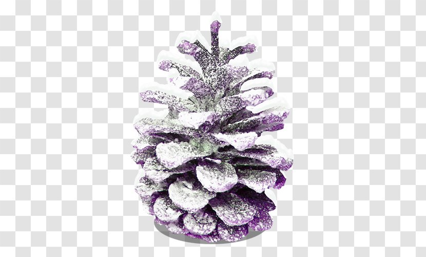 Conifer Cone Christmas Snow - Snowflake - Cones Transparent PNG
