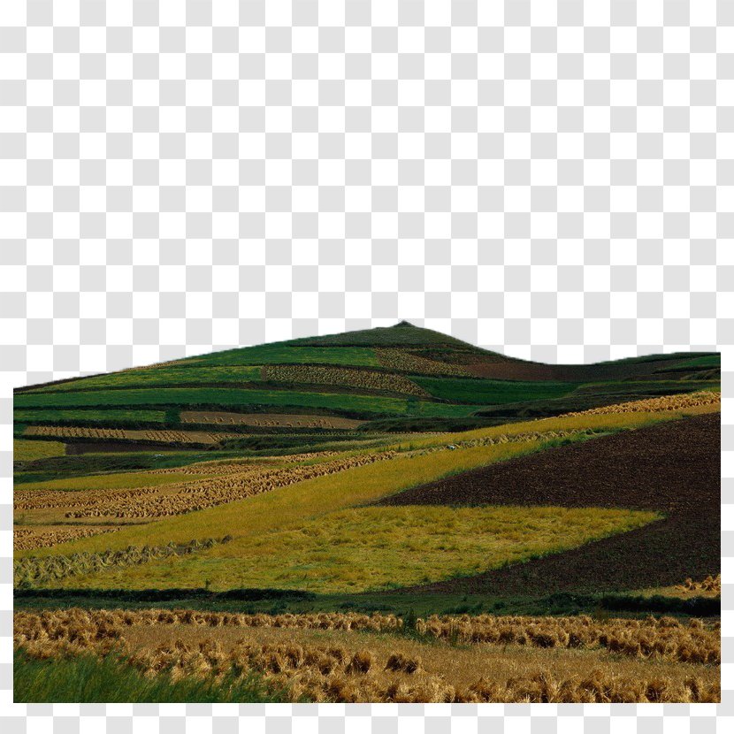 Hill Euclidean Vector Grade - Plain - The Farmland On Hillside Transparent PNG