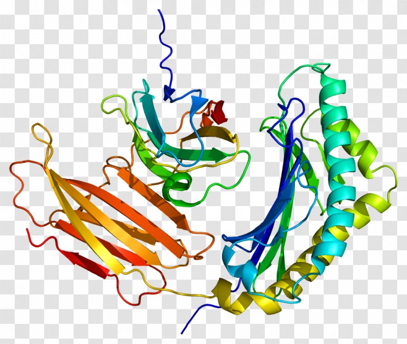 Prolactin-induced Protein Alpha-lactalbumin Casein - Flower - Induced Transparent PNG