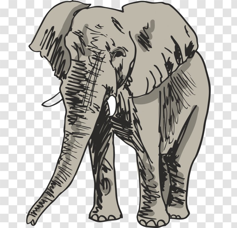 Drawing Elephant Royalty-free - Elephants And Mammoths Transparent PNG