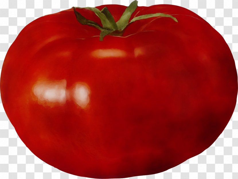 Tomato - Red - Nightshade Family Local Food Transparent PNG