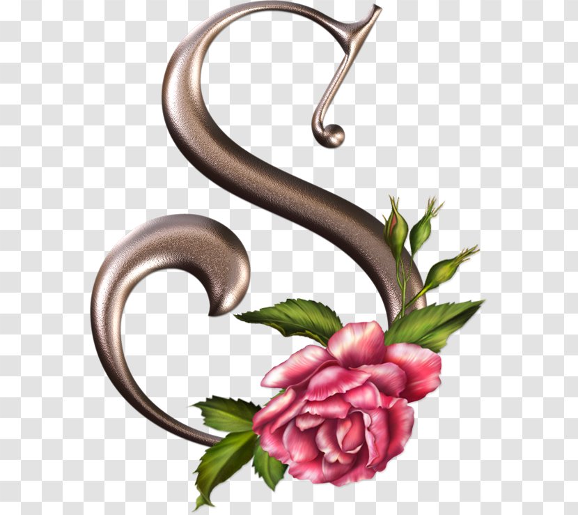 Floral Design Alphabet Letter Flower Rose Transparent PNG