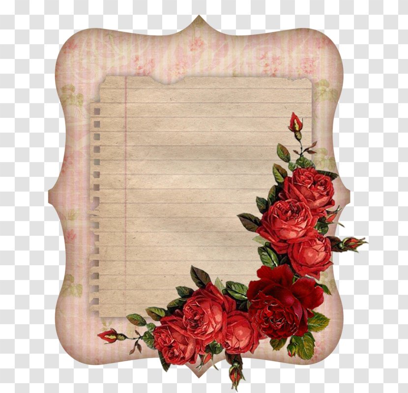 Garden Roses Paper Photography - 112 Scale - Rose Transparent PNG