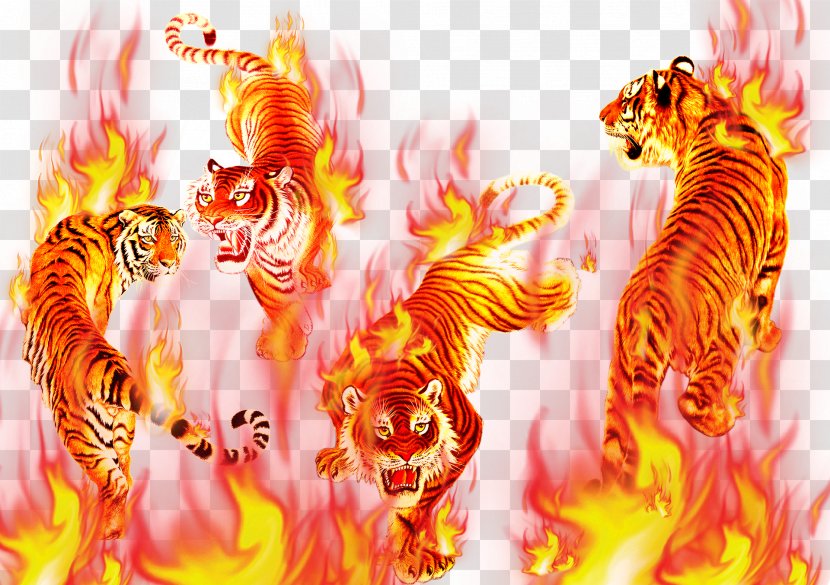 Tiger Flame Combustion Computer File - Gratis Transparent PNG