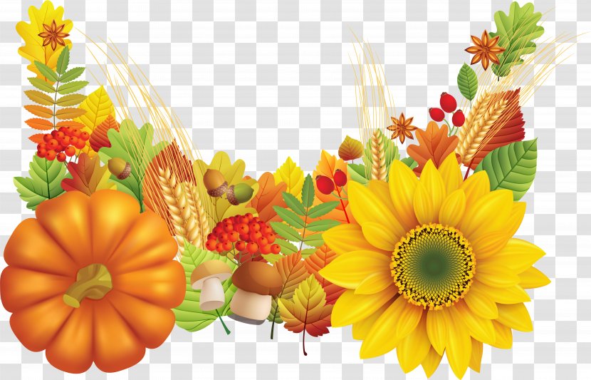 Thanksgiving Greeting & Note Cards Wish Blessing - Floristry - Sunflower Oil Transparent PNG