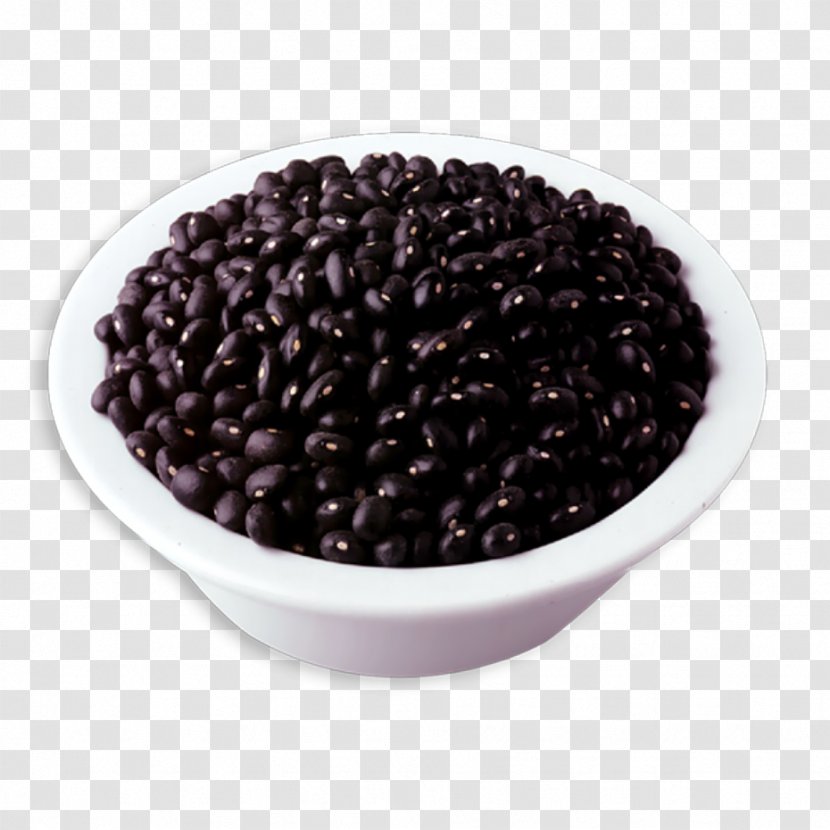 Black Turtle Bean Dietary Fiber Carbohydrate Food - Kidney - Red Beans Transparent PNG