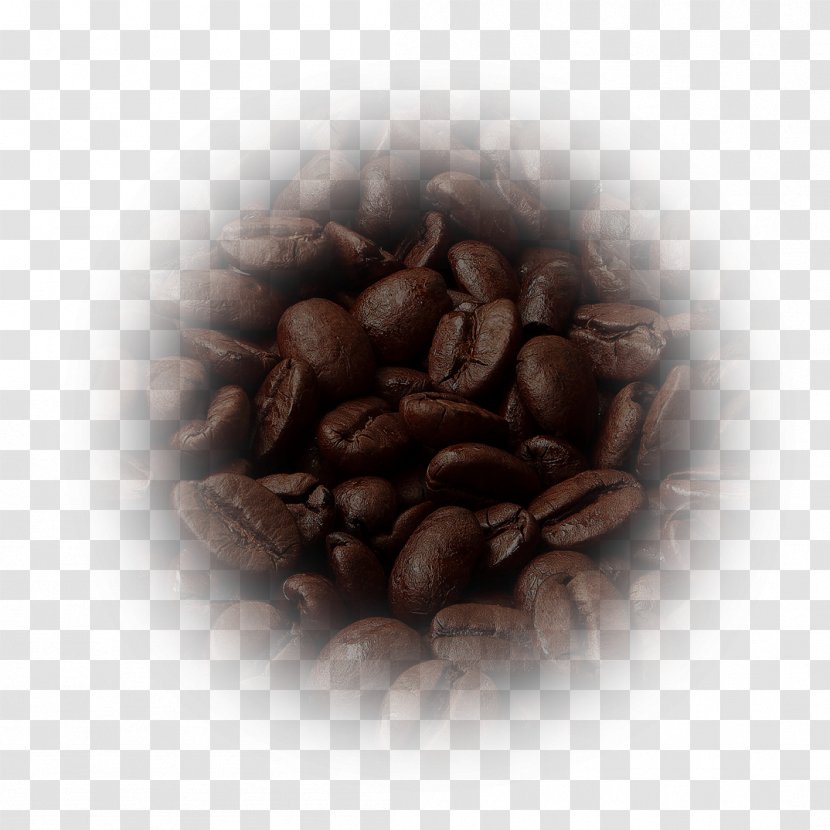Instant Coffee Kona Jamaican Blue Mountain Mocha - Bolt Brasil - Beans Transparent PNG