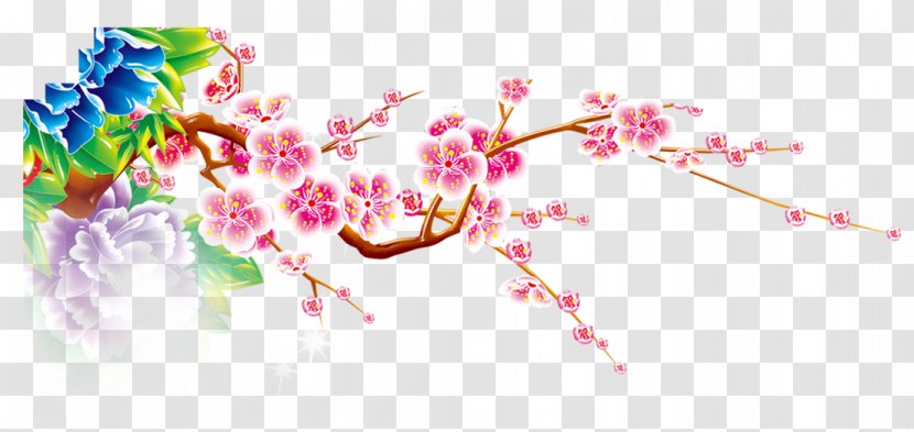 Taiwan Plum - Blossom - Flower Transparent PNG