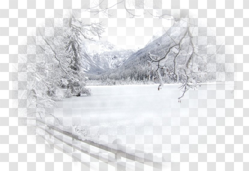 Winter Snow Landscape Desktop Wallpaper - Black And White Transparent PNG