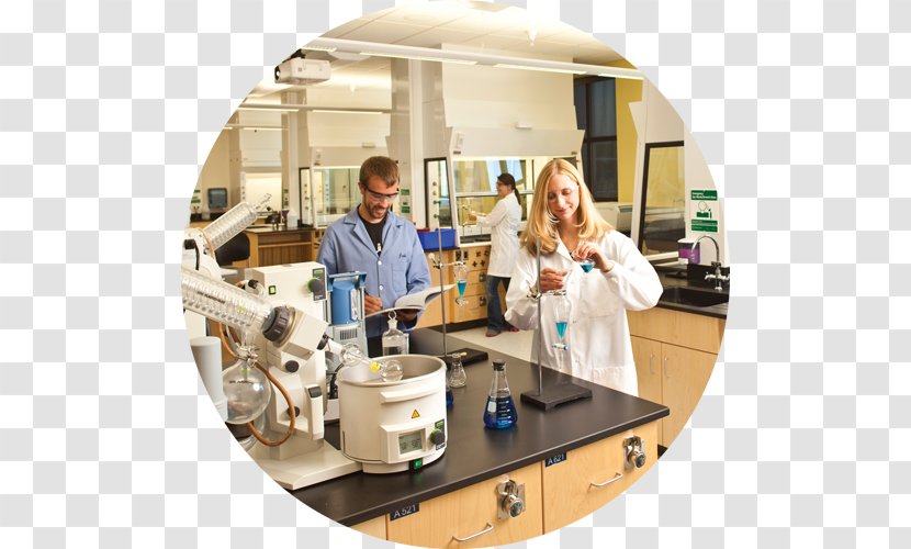 Medicine University Of Nevada, Reno Biomedical Research Scientist - Job Transparent PNG