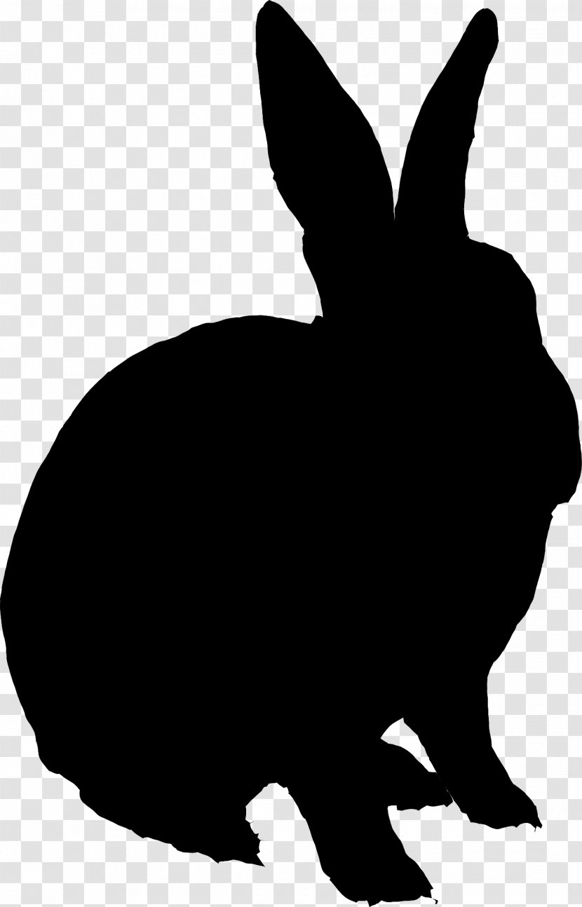 Domestic Rabbit Foeke Sjoerdswei Hare Personal Trainer Location - Rabbits And Hares Transparent PNG