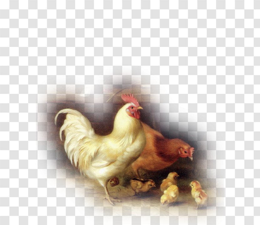 Rooster Chicken Oil Painting Artist - Livestock Transparent PNG