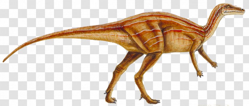 Velociraptor Orodromeus Lambeosaurus Reptile Late Cretaceous - Dinosaur Transparent PNG