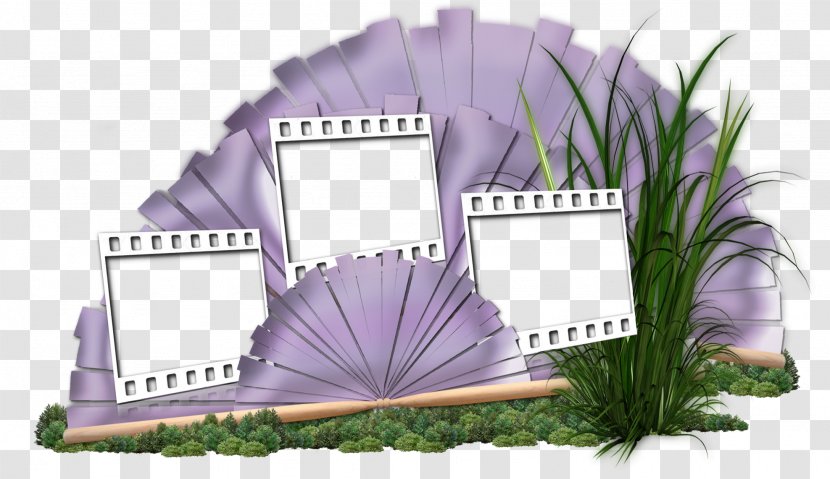 Purple - Violet Transparent PNG