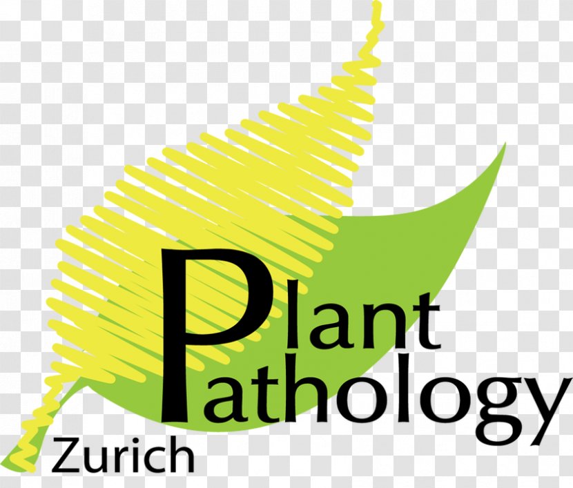 Plant Pathology ETH Zurich Leaf Plants Transparent PNG