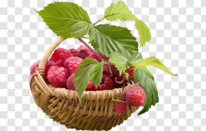 Raspberry Fruit Strawberry Food - Strawberries - Fruits Basket Transparent PNG