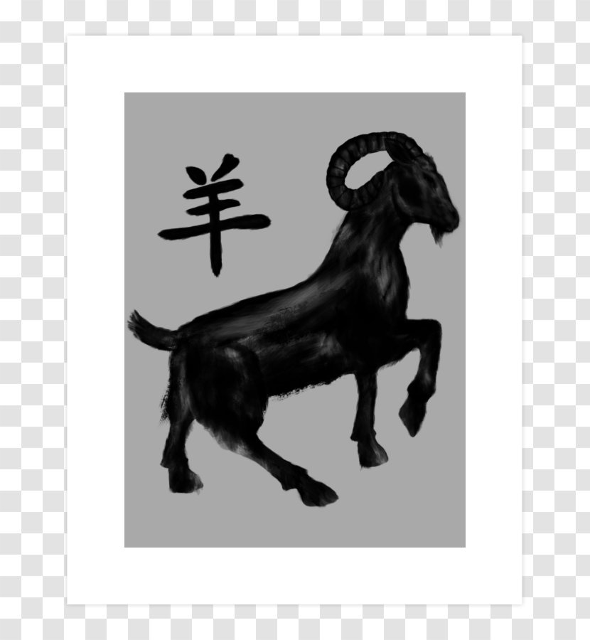 Goat Cattle White - Antelope Transparent PNG