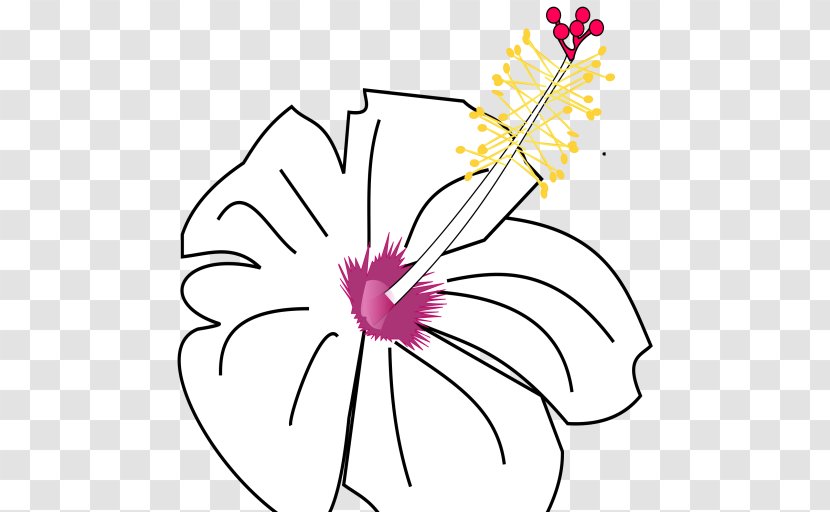 Floral Design Flower Shoeblackplant Wikimedia Commons - Symmetry Transparent PNG