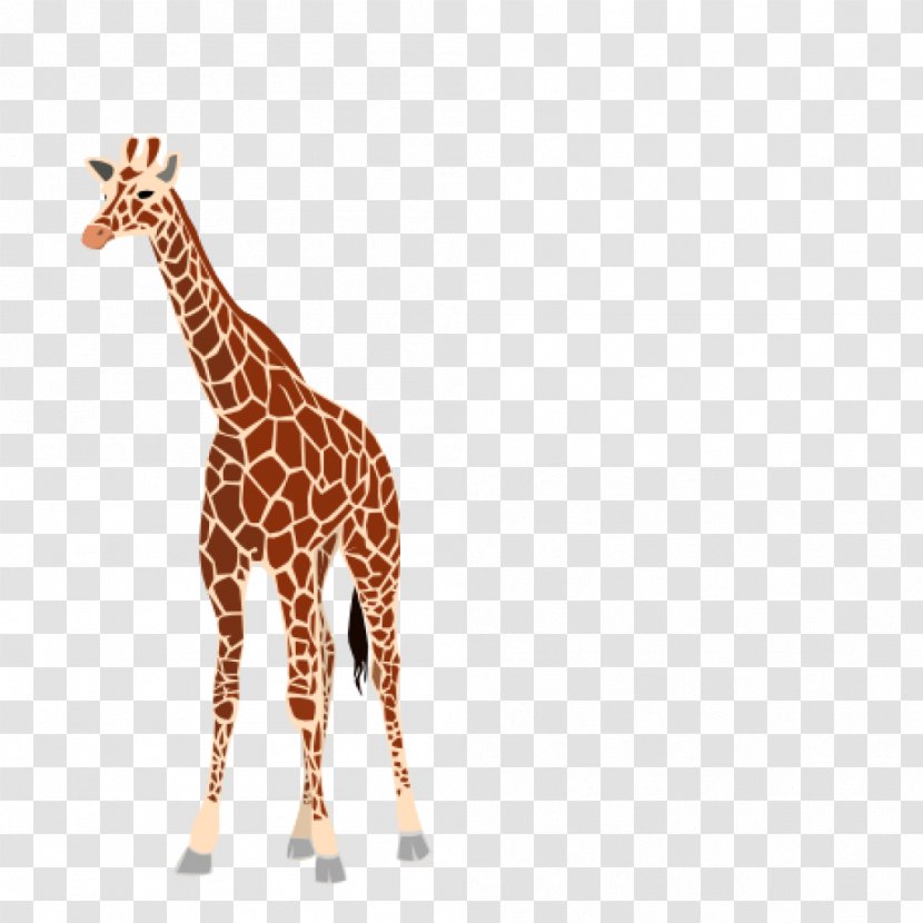 Baby Giraffes Clip Art Image Vector Graphics - Royaltyfree - Girafee Pennant Transparent PNG