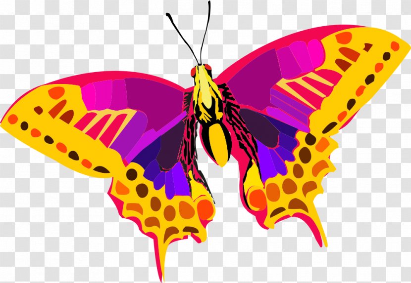 Butterfly Clip Art - Arthropod - Abstract Colorful Transparent PNG