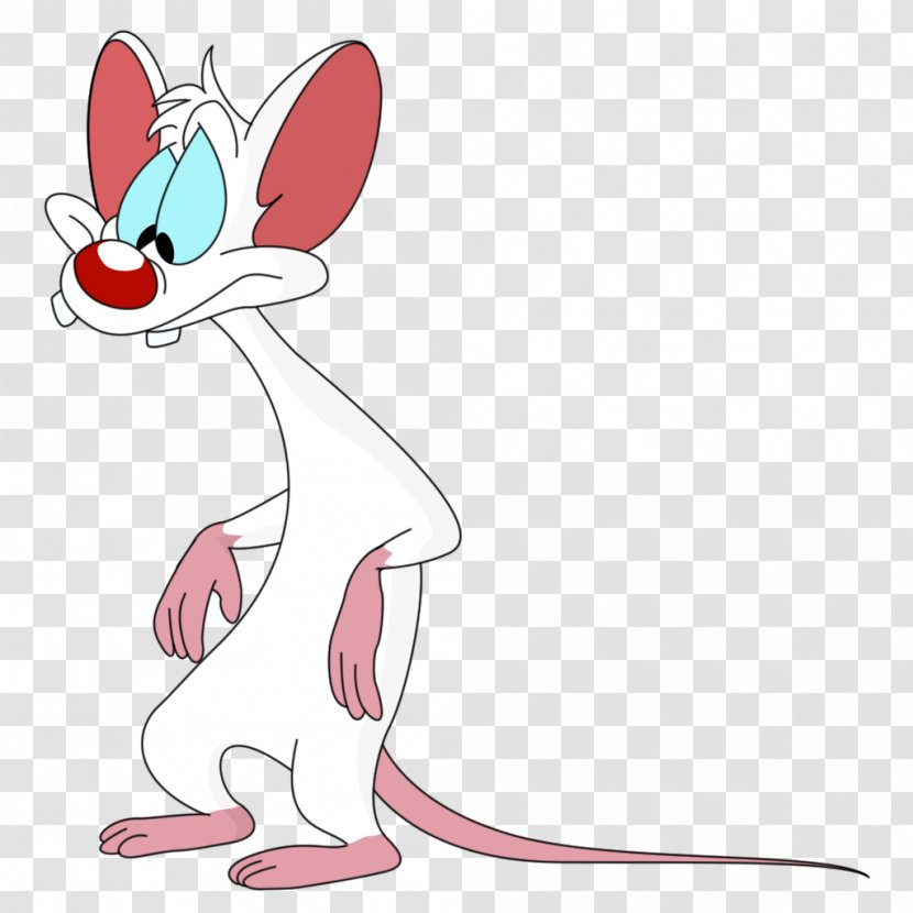 Whiskers Mouse Rat Cat Canidae - Tree Transparent PNG