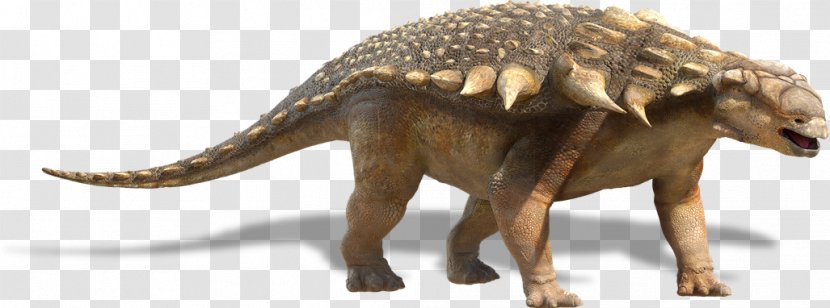 Edmontonia Nodosaurus Triceratops Tyrannosaurus Stegosaurus - Extinction - Dinosaur Transparent PNG