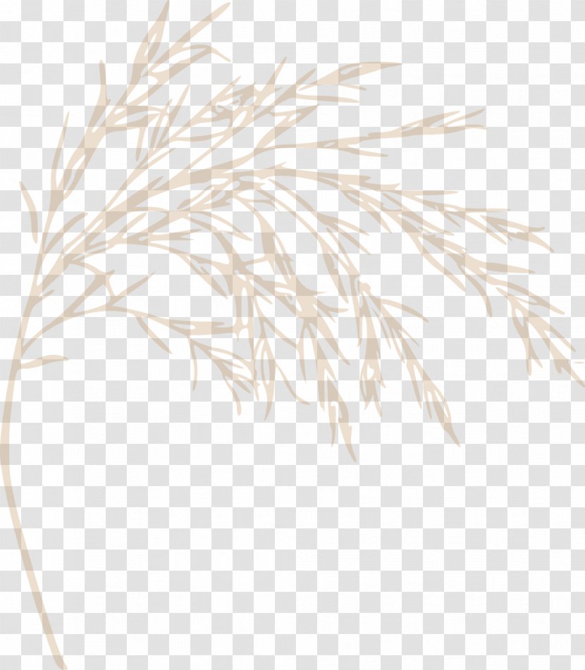 Grasses Line Commodity White Family Transparent PNG