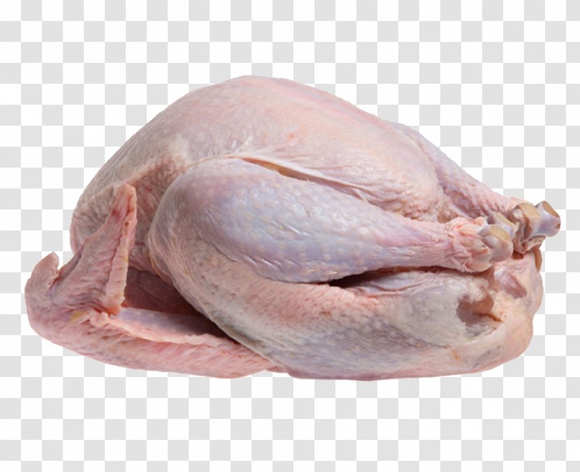 Turkey Meat Food Cooking Roasting - Domesticated - Bird Transparent PNG