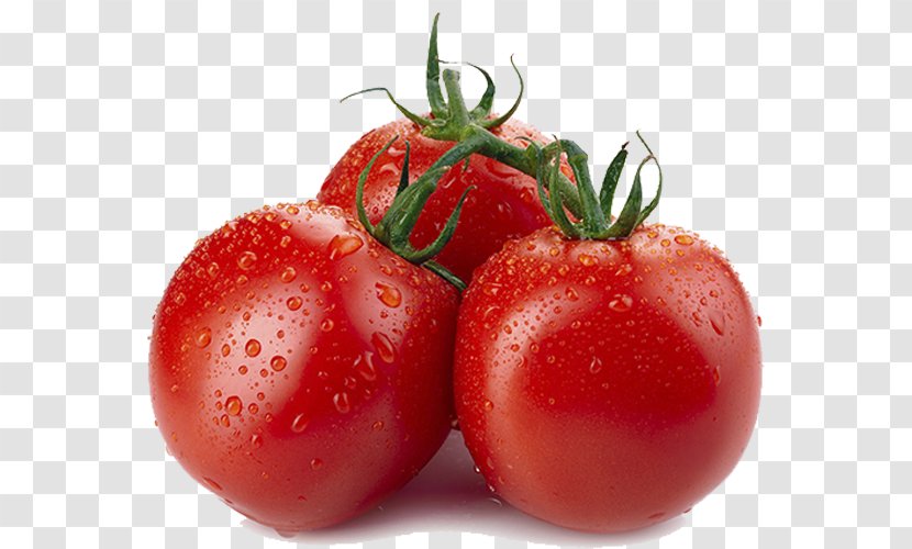 Organic Food Tomato Eating Health - Healthy Diet Transparent PNG
