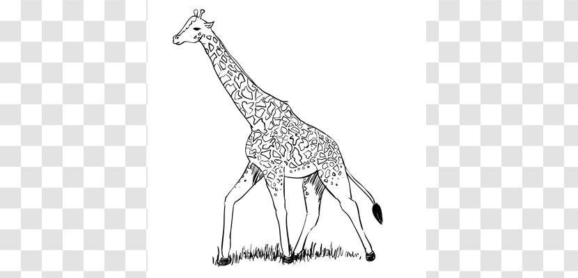The Giraffe That Walked To Paris Drawing Northern Line Art Pencil - Organism Transparent PNG