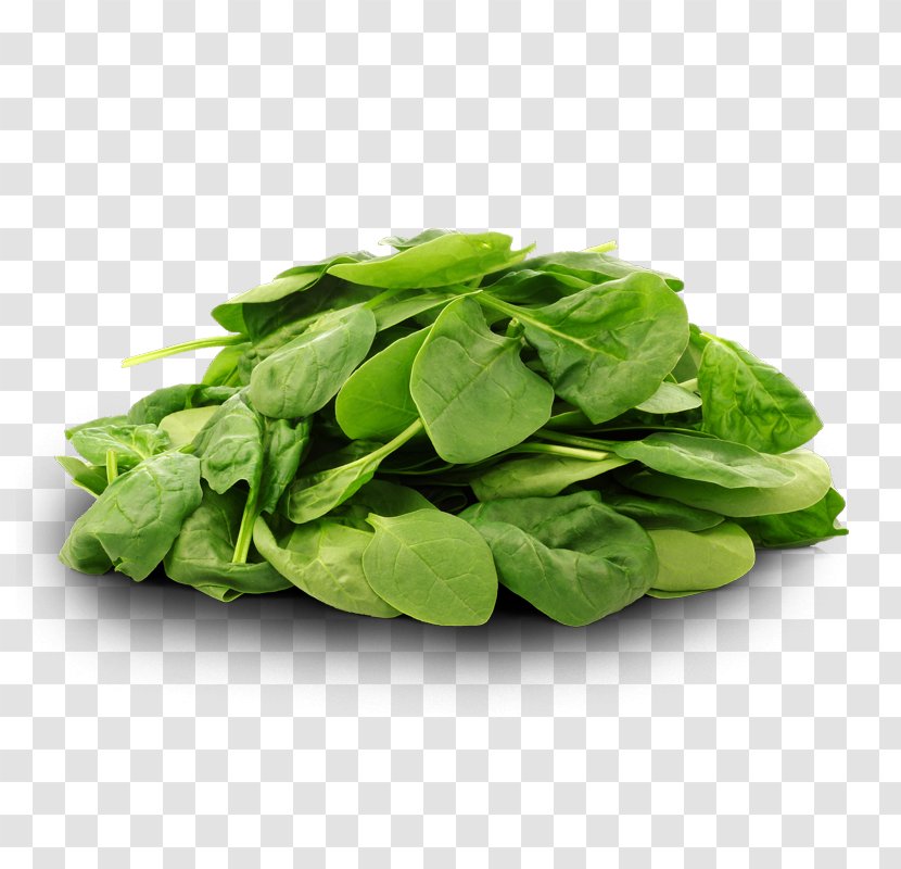 Spinach Organic Food Leaf Vegetable - Basil Transparent PNG