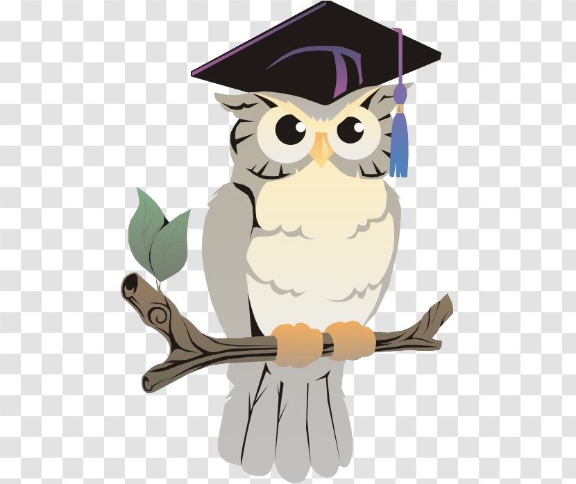 A Wise Old Owl Bedford Public Library System Clip Art - Beak Transparent PNG