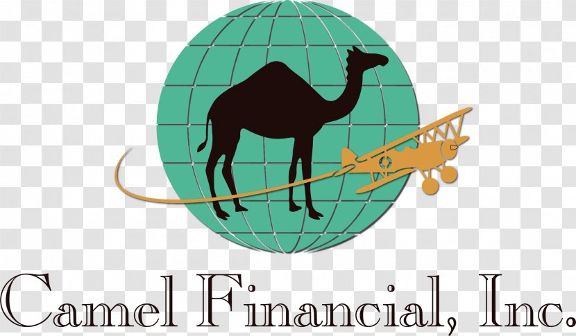 Taco Bell Camel Financial Inc Mexican Cuisine Restaurant Food - Concordia University Irvine Transparent PNG