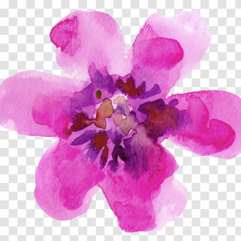 Watercolour Flowers Watercolor Painting Drawing Paper - Lilac Transparent PNG