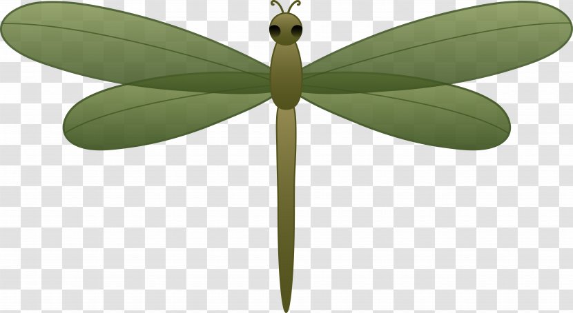 Clip Art - Pollinator - Dragonfly Cliparts Transparent PNG