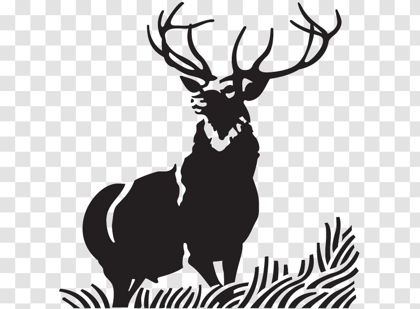 Red Deer Elk Moose Clip Art - Horse Like Mammal Transparent PNG