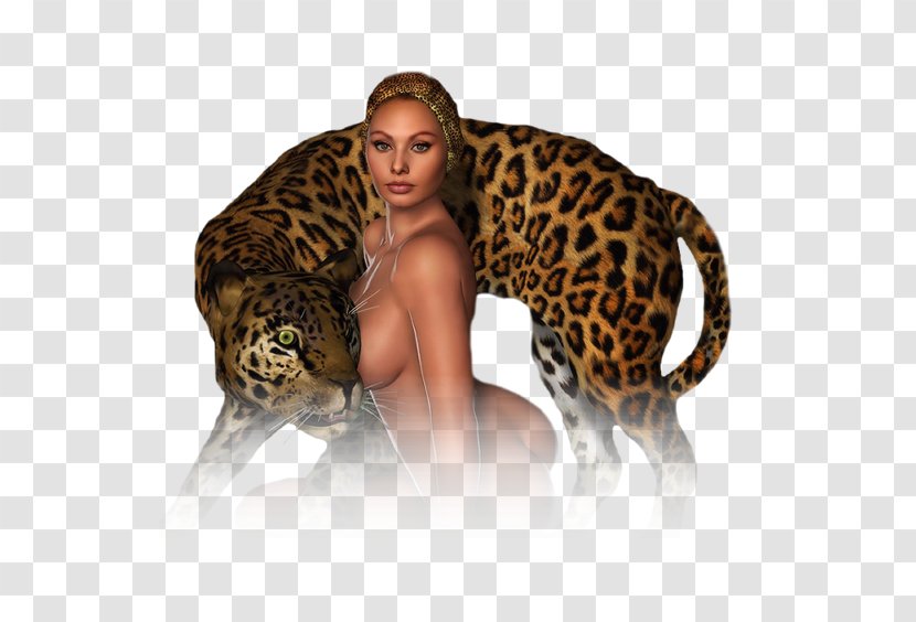 Jaguar Leopard Ocelot Cheetah Tiger - Cat Like Mammal Transparent PNG