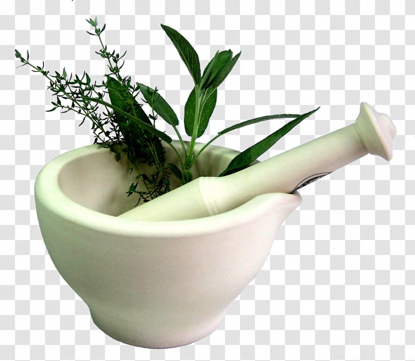 Herbalism Medicine Alternative Health Services Ayurveda - Stirred Herbs Transparent PNG
