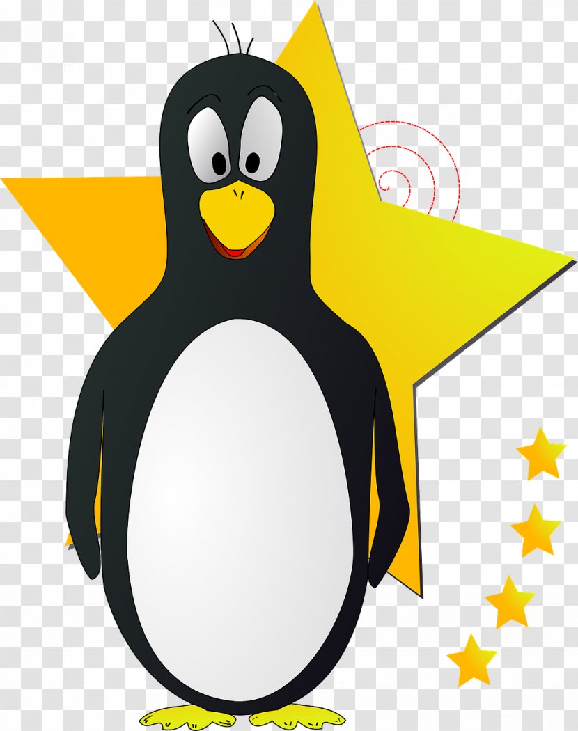 Penguin Bird Clip Art - Cartoon Transparent PNG