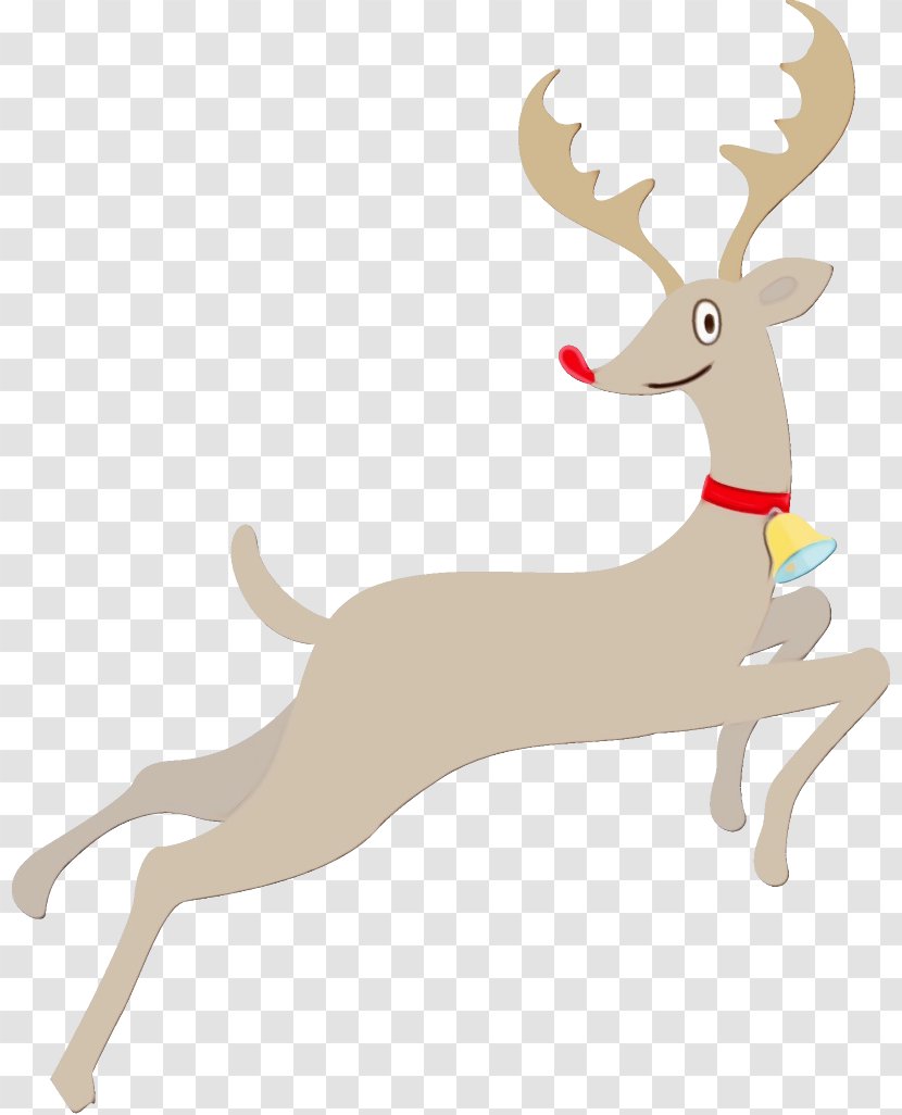 Reindeer - Wildlife Recreation Transparent PNG