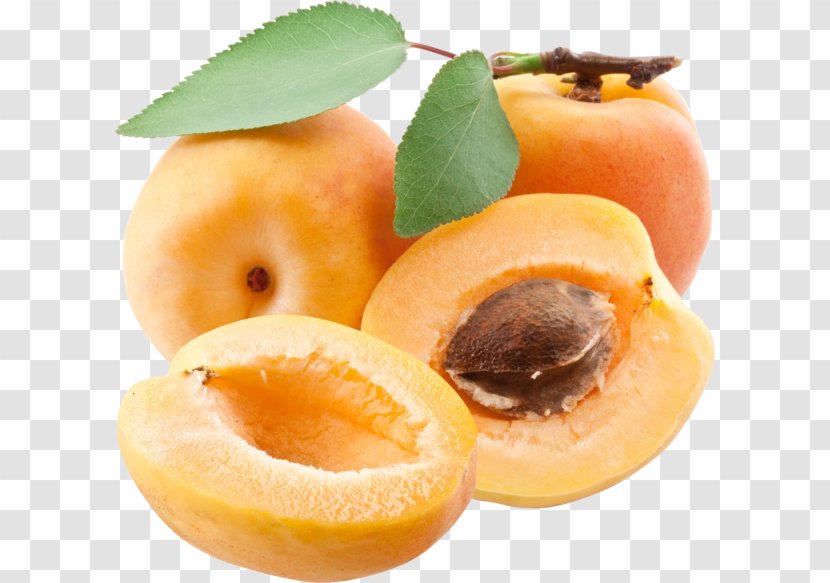 Apricot Food Fruit - Peach Transparent PNG