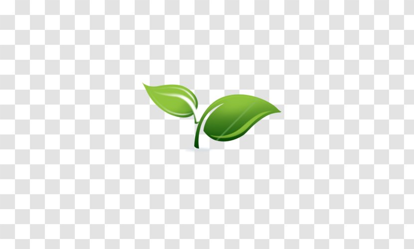 Spring Framework & Sprout Support Services, LLC Enterprise JavaBeans Application Server - Source Code - Logo Transparent PNG